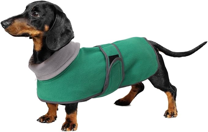 Geyecete Dachshund Sweater - Padded Fleece Lining Dog Jacket, Dachshund Coat - Green, XS