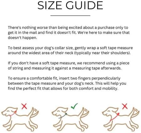 Two Tails Pet Company Cactus Vegan Leather Dog Collar, Adjustable Pet Collar With Gold Hardware and D Rings for Leash and ID Tag for Dogs and Puppies, Easy to Clean & Eco Friendly, Caramel, Size Large