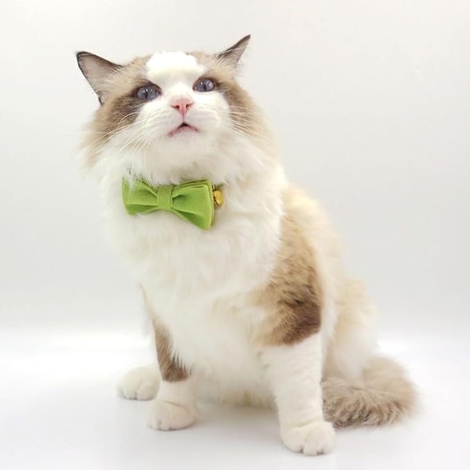 Personalized Cat Collars with Bells Custom Cat Collar with Name Tag Cute Soft Small Cat Collar for Boy and Girl Cats Kitten (Matcha Green)