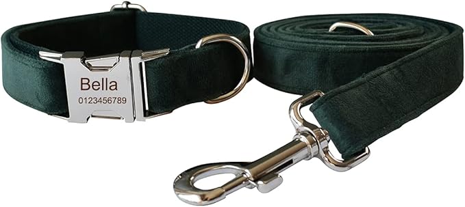 Dog Collar Custom Personalized Engraved Name and Phone Number for Puppy Small Medium Large Pets (M, Green)