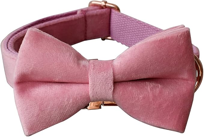 Dog Collar Custom Personalized Engraved Name and Phone Number for Puppy Small Medium Large Pets (M, Pink)