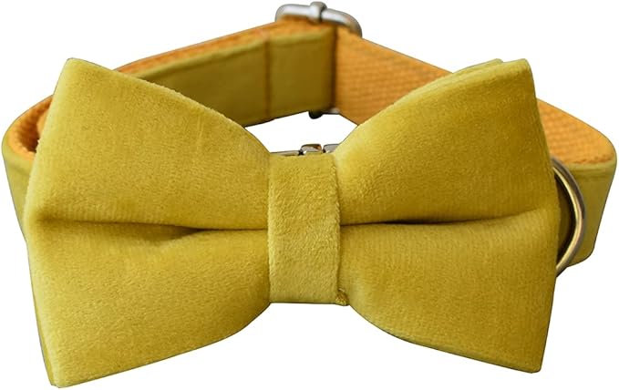 Dog Collar Custom Personalized Engraved Name and Phone Number for Puppy Small Medium Large Pets (M, Yellow)