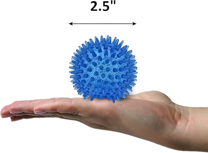 Cutie's PetBox Squeaky Rubber Spike Toy Ball for Small Dogs (2.5 Inch, Blue)