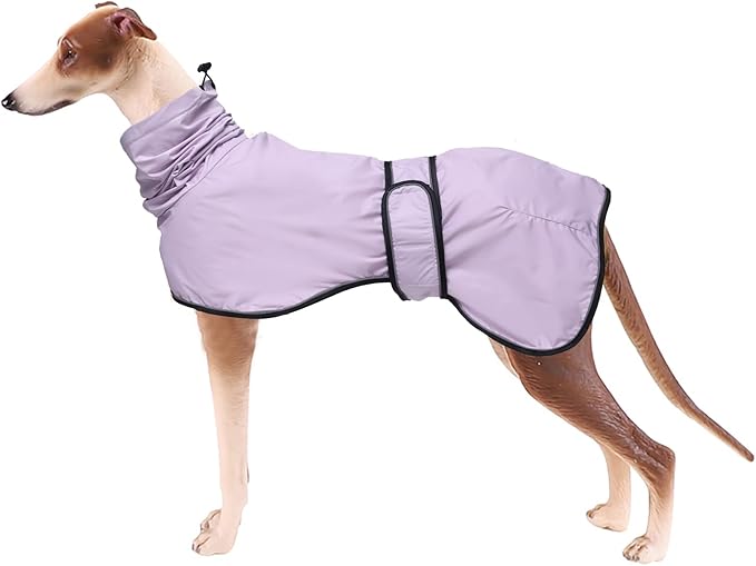 Dog Raincoat with Reflective Bar, Rain/Water Resistant, Adjustable Vest - Dog Raincoats for Greyhounds, Lurchers and Whippets - Purple - XXXL