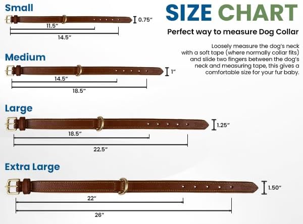 Leather Dog Collar for Small Dogs, Light Pink, .75 Inch Wide, Genuine Leather, Heavy Duty with Soft Inner Padding, Comfortable and Durable | (Blush Pink, Small (Fit Neck Size 11.5"-14.5"))