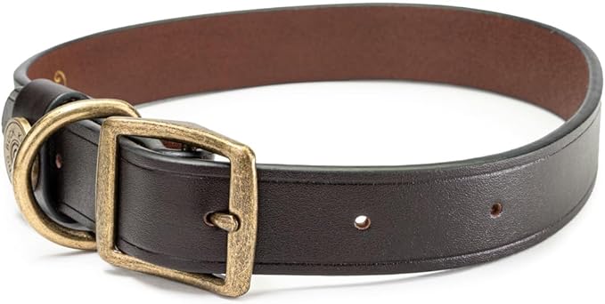 King Buck Premium Leather D Ring Dog Collar, Leather, L/XL