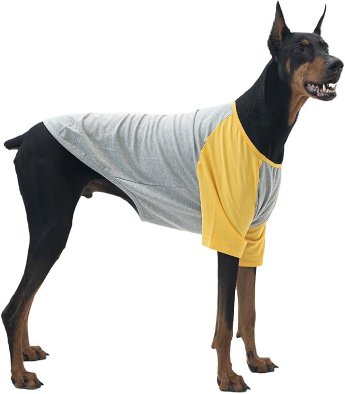 Dog Shirt for Small and Large Dogs Raglan Cotton T-Shirts Soft Breathable Dog Shirts pet Clothes Gray Series (4X-Large, Gray/Yellow)