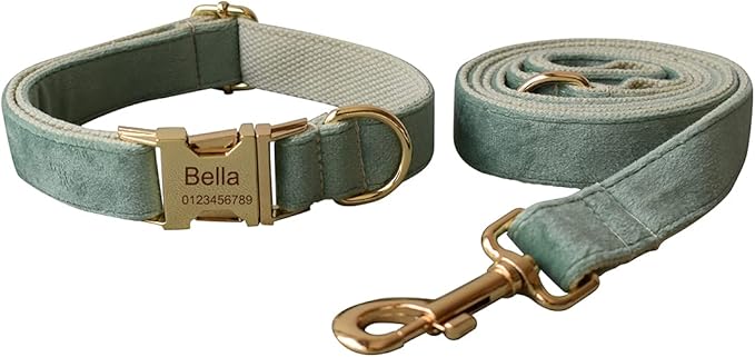 Dog Collar Custom Personalized Engraved Name and Phone Number for Puppy Small Medium Large Pets (L, Fruit Green)