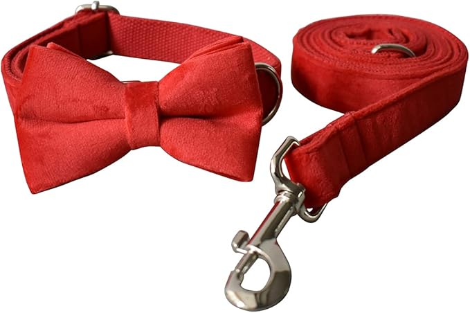 Dog Collar Custom Personalized Engraved Name and Phone Number for Puppy Small Medium Large Pets (XL, Red)