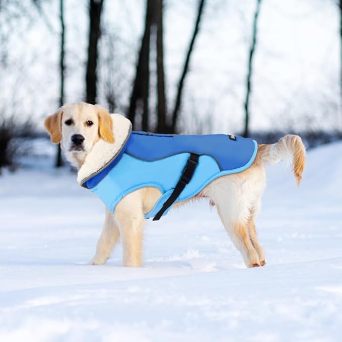 EMUST Dog Jacket Winter, Cozy Windproof Dogs Jacket for Cold Weather, Solid Color Dog Vests for Winter for Medium Dogs, New Blue, M