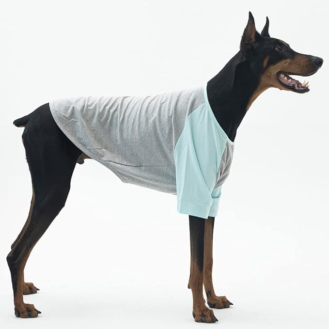 Dog Shirt for Small and Large Dogs Raglan Cotton T-Shirts Soft Breathable Dog Shirts pet Clothes Gray Series (5X-Large, Gray/Mint)