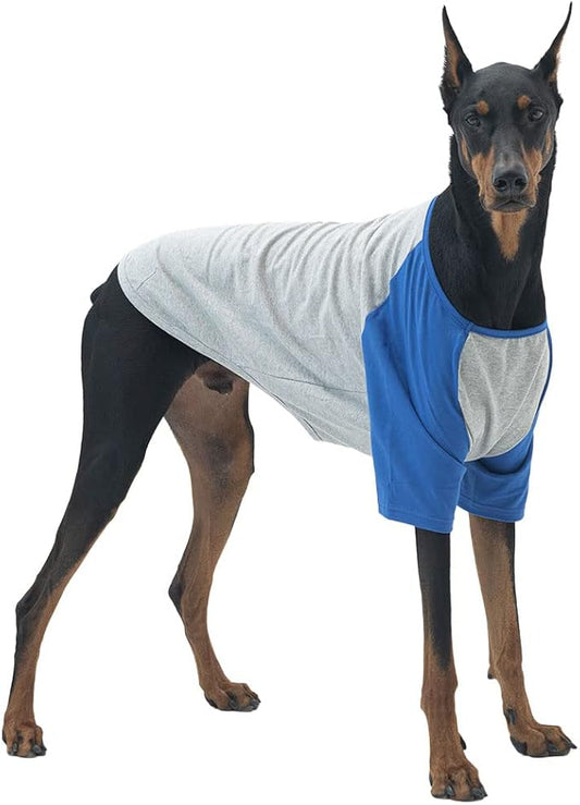 Dog Shirt for Small and Large Dogs Raglan Cotton T-Shirts Soft Breathable Dog Shirts pet Clothes Gray Series (3X-Large, Gray/Blue)