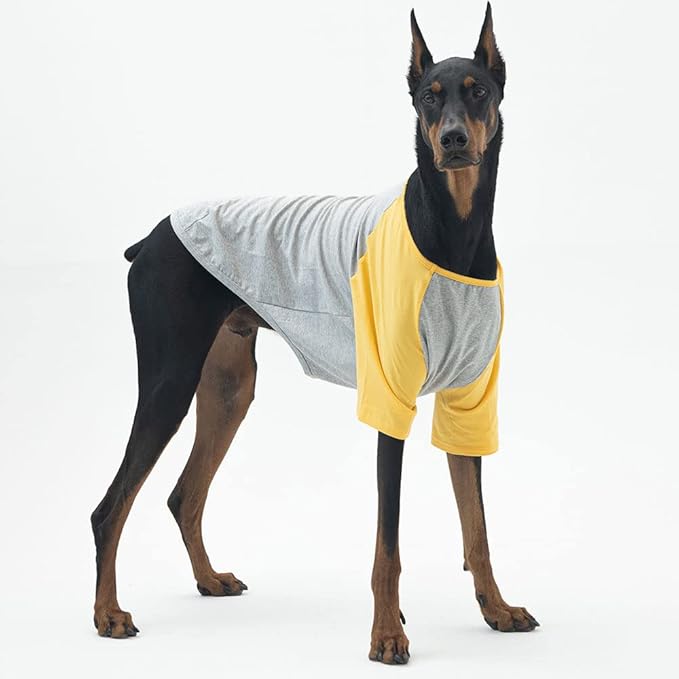 Dog Shirt for Small and Large Dogs Raglan Cotton T-Shirts Soft Breathable Dog Shirts pet Clothes Gray Series (X-Large, Gray/Yellow)