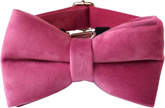 Dog Collar Custom Personalized Engraved Name and Phone Number for Puppy Small Medium Large Pets (XL, Rose)