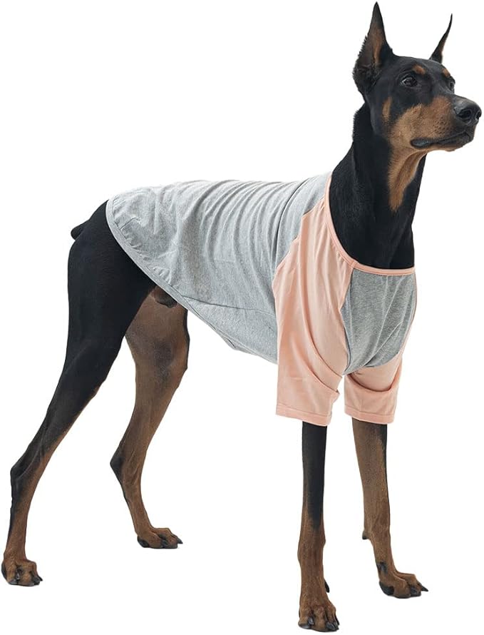 Dog Shirt for Small and Large Dogs Raglan Cotton T-Shirts Soft Breathable Dog Shirts pet Clothes Gray Series (3X-Large, Gray/Peach)