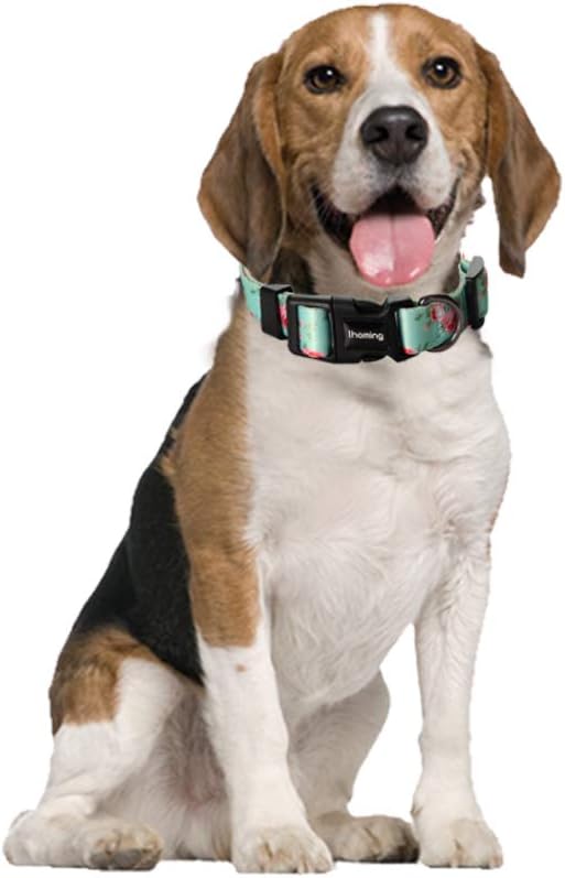 Ihoming Dog Collar and Leash Set for Daily Outdoor Walking Running Training, Floral Spring Design for Large Boys Girls Dogs Cats Pets, L-Up to 80LBS