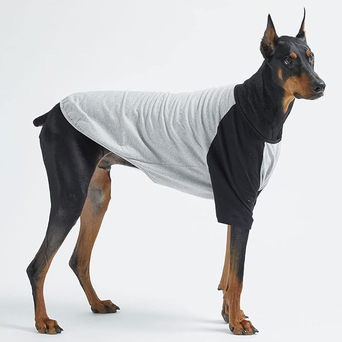 Dog Shirt for Small and Large Dogs Raglan Cotton T-Shirts Soft Breathable Dog Shirts pet Clothes Gray Series (X-Large, Gray/Black)