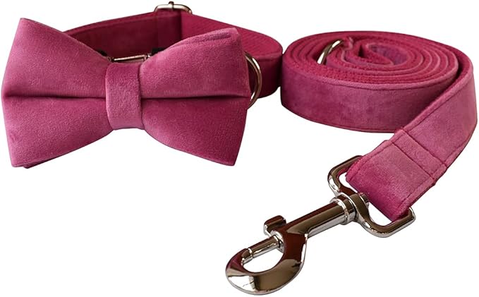Dog Collar Custom Personalized Engraved Name and Phone Number for Puppy Small Medium Large Pets (L, Rose)