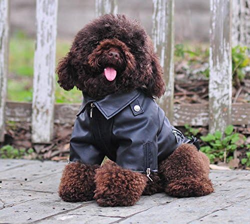 Lovelonglong Cool Dog Leather Jacket, Warm Coats Dogs Windproof Cold Weather Coats for Pugs Bulldog Pitbull Black B-M