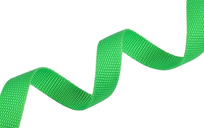 AMAGOOD 6 FT Puppy/Dog Leash, Strong and Durable Traditional Style Leash with Easy to Use Collar Hook, Great for Small, Medium and Large Dogs (3/4 in x 6 ft, Black and Green (2-Pack))