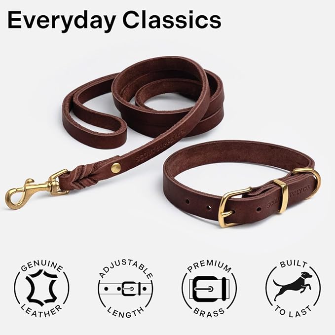 Classic Genuine Leather Dog Collar | Dog Collars for Medium Dogs, Small Dogs, Large Dogs & Extra Large Dog | Wide Dog Collar | Heavy Duty Dog Collar | Dark Brown (XS: 0.5" Wide for 7.5"-10.5" Neck)