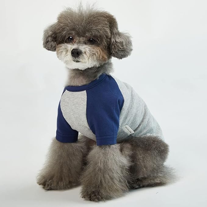 Dog T-Shirt (Raglan) - Gray/Navy, X-Small, Cotton, Breathable, Lightweight