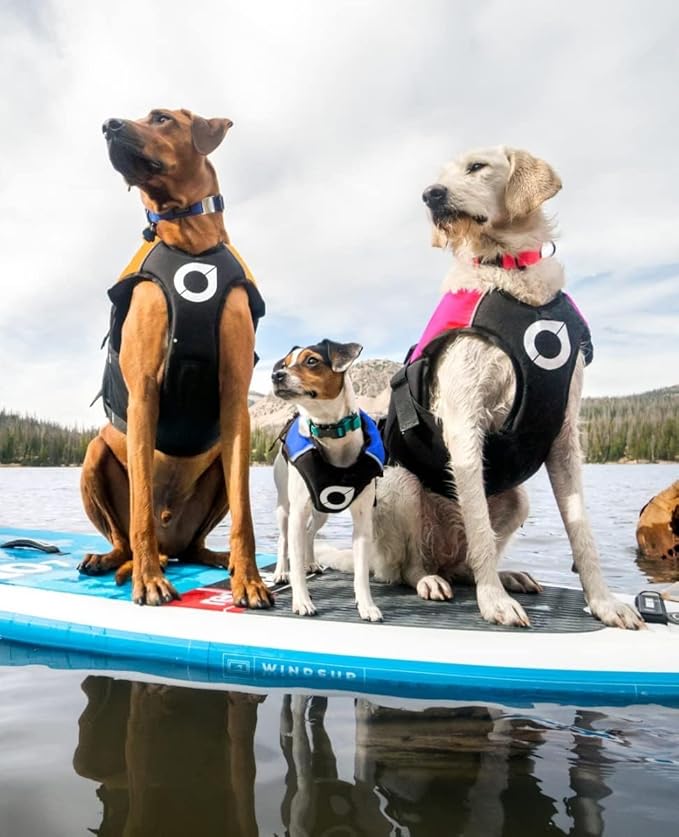 Stunt Puppy Float Doggy Life Jacket, Ergonomic Dog Life Vest for Swimming, Patented Design for Secure Fit, X-Large, Mango