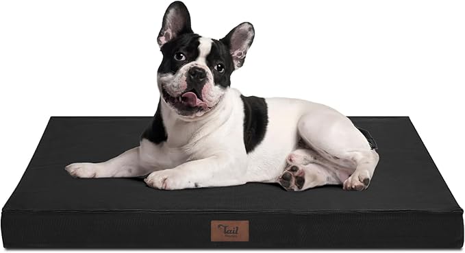 Outdoor Orthopedic Dog Bed for Medium Dogs & Cats, Waterproof Flat Pet Mat with Egg Crate Foam & Washable Removable Oxford Cover, 30x20 Inch, Black