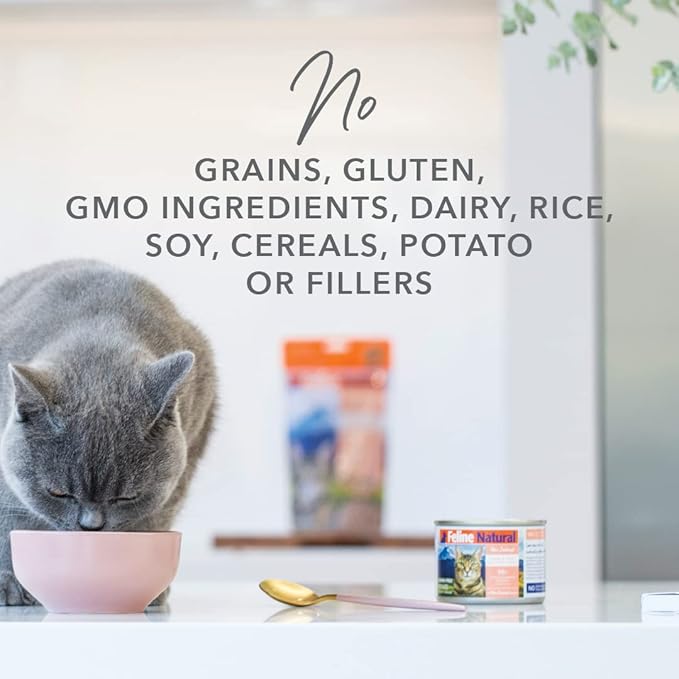 Feline Natural New Zealand Canned Catfood Wet Food, High-Meat, Low-Carb, & Grain Free Cat Food Wet, Lamb Feast, 6 oz, Pack of 12