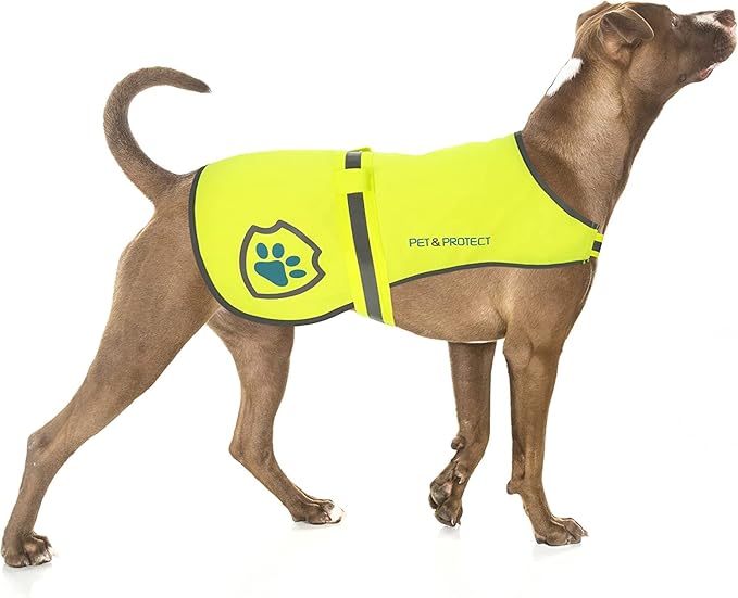 Reflective Dog Coat for Safety – Ideal Dog Vest for High-Visibility When Walking, Jogging or Training – Sizes to Fit Small, Medium, Large Breeds 16-130 lbs (Small)