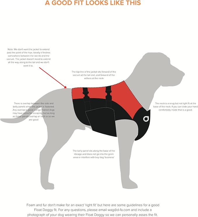 Stunt Puppy Float Doggy Life Jacket, Ergonomic Dog Life Vest for Swimming, Patented Design for Secure Fit, Medium, Blue
