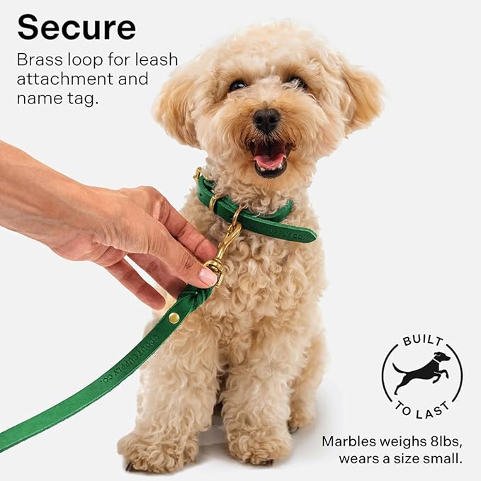 Classic Genuine Leather Dog Collar | Dog Collars for Medium Dogs, Small Dogs, Large Dogs & Extra Large Dog | Wide Dog Collar | Heavy Duty Dog Collar (Green, S: 0.5" Wide for 7.5"-10.5" Neck)