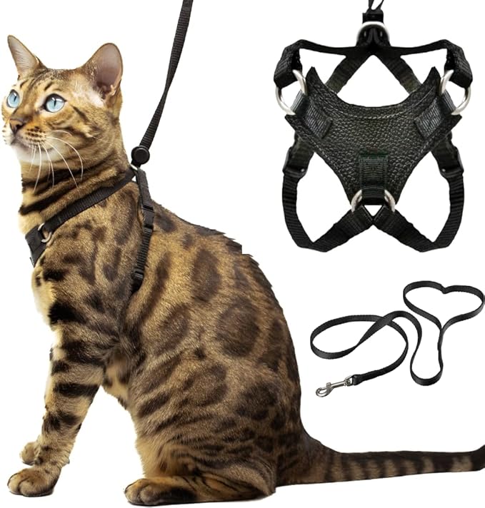 Houdini™ Escape Proof Cat Harness and Leash Set by OutdoorBengal for Walking Cats and Kittens (Leather, Large Cat)