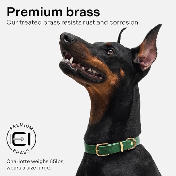 Classic Genuine Leather Dog Collar | Dog Collars for Medium Dogs, Small Dogs, Large Dogs & Extra Large Dog | Wide Dog Collar | Heavy Duty Collar (Green, Large)