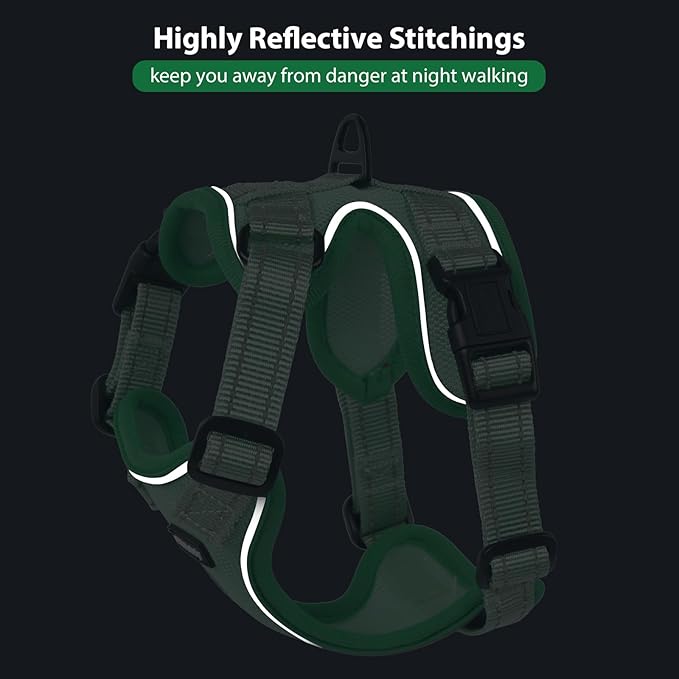 Rttochfy Cat Harness and Leash Set, Adjustable and Reflective Cat Vest, Escape Proof Kitten Harness, Easy to Put on with 3 Buckles for Cats Walking and Traveling (Light Green, L)