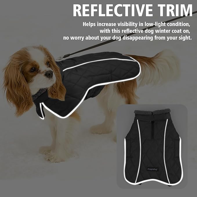 Fragralley Dog Coat Large, Waterproof Dog Jacket with Warm Fleece Lining, Adjustable Reflective Dogs Winter Coat, Turtleneck Pet Coats for Cold Weather (Black XXL)