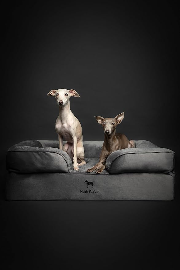 NOAH & PAW Large Dog Bed, 35x25x11 Inch, Orthopedic Dog Beds, Eggshell Memory Foam Infused with Cooling Gel, Inner Cover, Waterproof, Machine Washable (Velvet Sofa Collection)