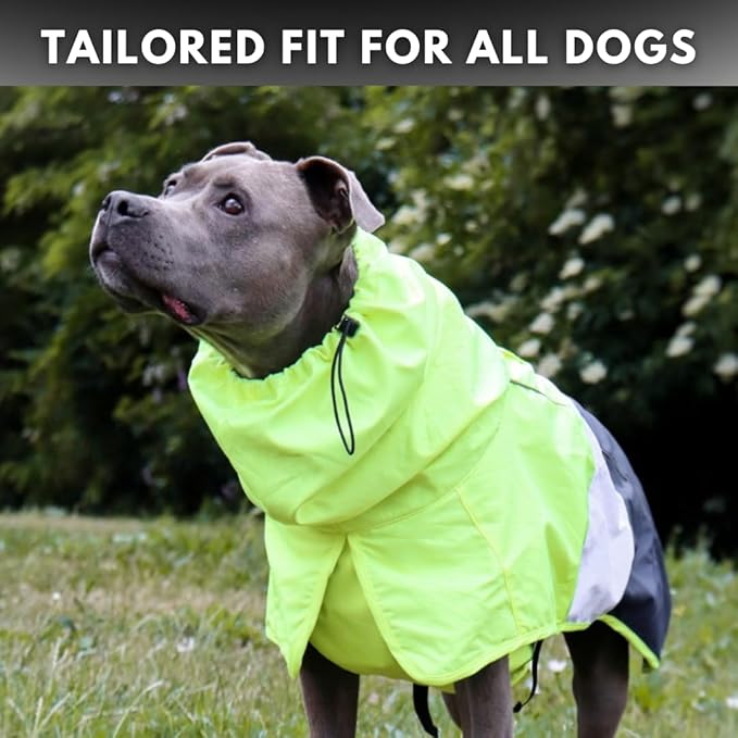 Spark Paws Dog Raincoat, Waterproof Windproof Rain Jacket, for Small Medium Large Extra Large Dogs, Reflective Breathable Full-Body Coverage Dry Suit - Neon White Navy Blue, M