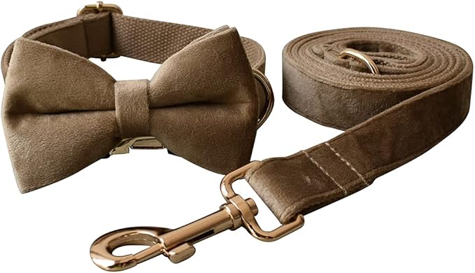 Dog Collar Custom Personalized Engraved Name and Phone Number for Puppy Small Medium Large Pets (M, Khaki)
