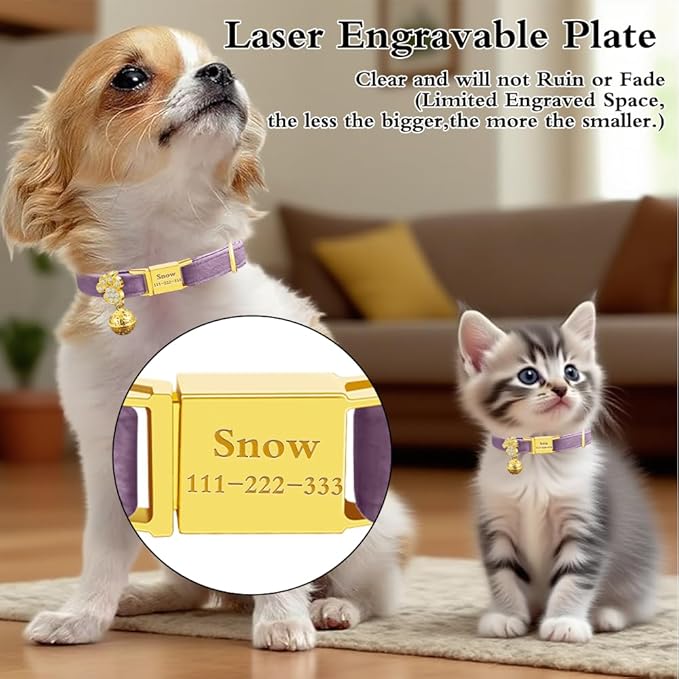Personalized Breakaway Cat Collars - Magnetic Buckle, Bell - Safety Quick Release, Customized for Girls & Boys Cats- (Velvet-Deep Purple)
