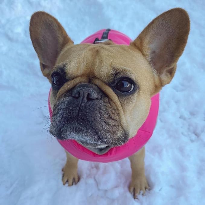 Gooby Padded Vest Dog Jacket - Solid Pink, Medium - Warm Zip Up Vest Fleece Jacket with Dual D Ring Leash Water Resistant for Small to Medium Dogs