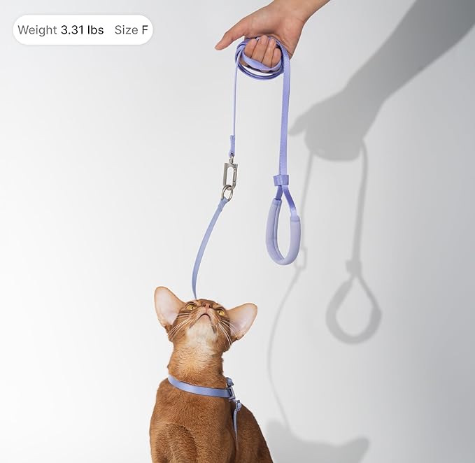 Cat Harness and Leash Set, Escape Proof Cat Harness Lightweight Leash with Padded Handle Adjustable Leash Harness for Kitten>4lbs Small Large Cats Walking Training (Midnight Black, M)