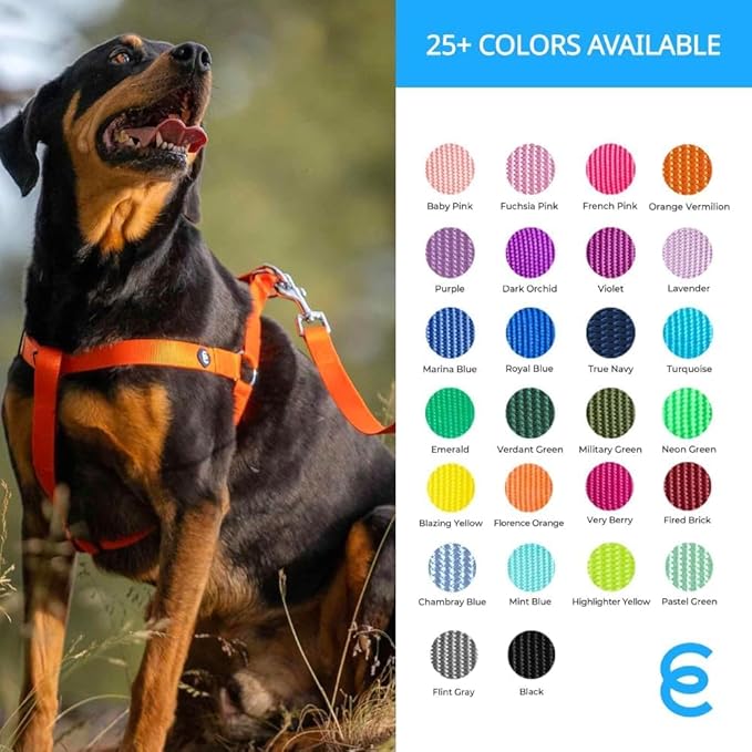 Blueberry Pet Essentials Dark Orchid Dog Leash for Small -5' * 5/8" Dogs | Heavy Duty Nylon Lead | Lightweight Puppy & Cat Leash for Walking & Training