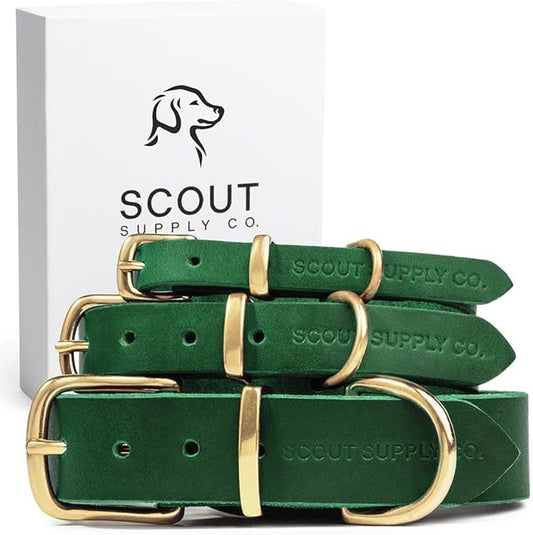 Classic Genuine Leather Dog Collar | Dog Collars for Medium Dogs, Small Dogs, Large Dogs & Extra Large Dog | Wide Dog Collar | Heavy Duty Collar (Green, Medium)