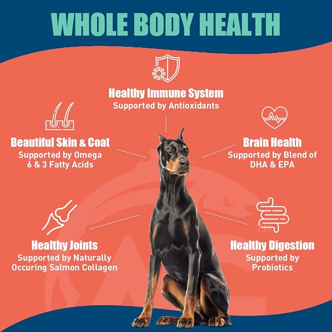SUPER3+ Salmon Freeze Dried Raw Salmon Dry Dog Food | Puppy & Adult | Small & Large Breed | High-Protein | Grain-Free | All-Natural Nutrition | 3-lbs