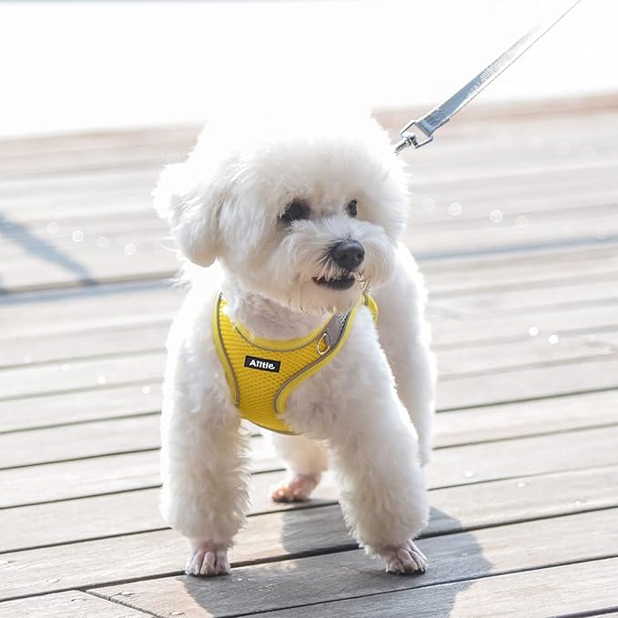 AIITLE Easy Walk Dog Harness and Leash Set - Pet Supply No Pull, Step in Adjustable Pet Harnesses with Padded Vest for Summer, No Choke Over, Easy to Put on Medium Dogs Yellow L