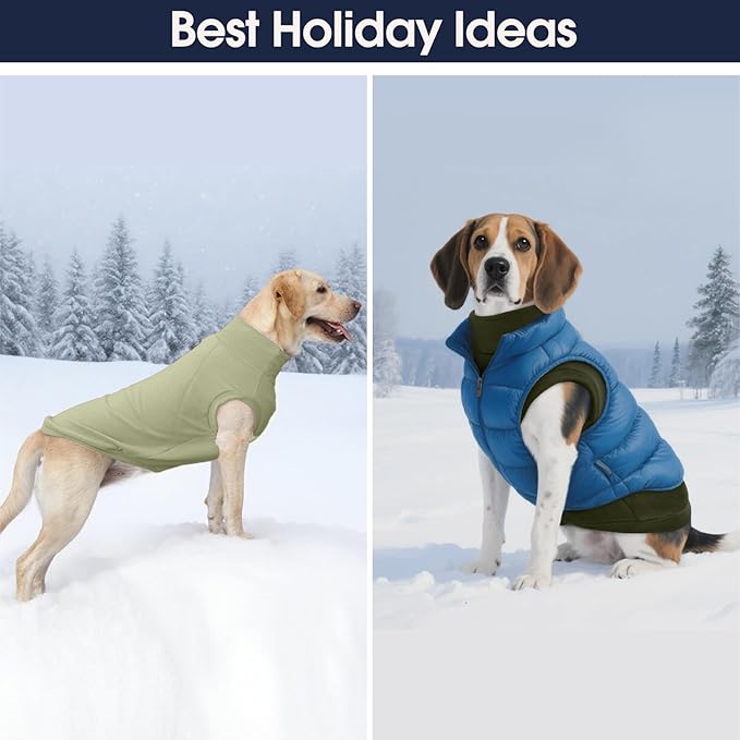 ‌IECOii 2 Pack Dog Sweaters for Dachshunds Boy Girl - Stretchy & Cozy & Thermal, Winter & Fall Dogs Fleece Sweater, Soft Pet Coats for Indoor & Outdoor(Size L, Light Green & Army Green)
