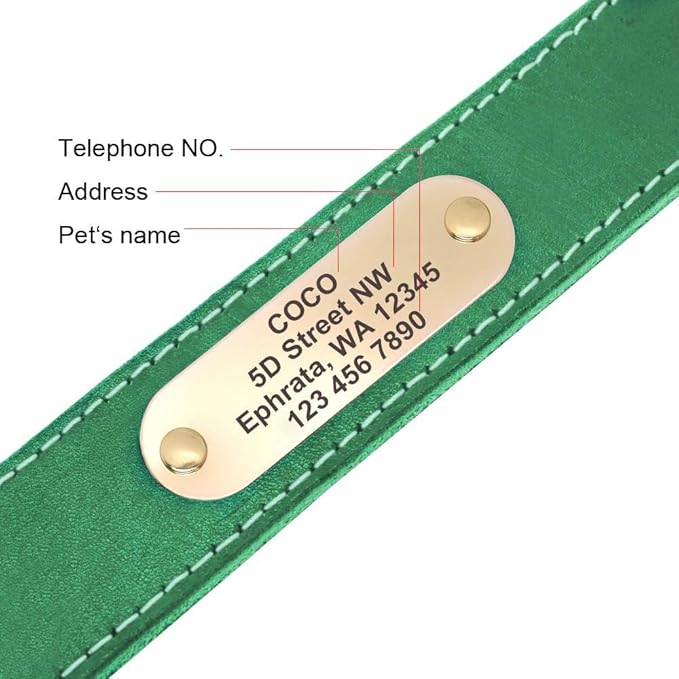 Didog Genuine Leather Dog Collars with Engraved Nameplate, Personalized Soft Leather Dog Collar with Custom ID Tag, Brown/Green/Red for Medium Large Dogs (XL,Green)