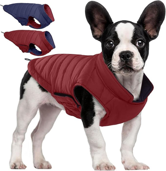 QBLEEV Reversible Dog Coat for Medium Dogs, Waterproof Windproof Winter Jacket Keeps Dogs Warm in Snow, Adjustable Hook & Loop Lightweight Dog Puffer Vest, Wine Red, L – Fits French Bulldog