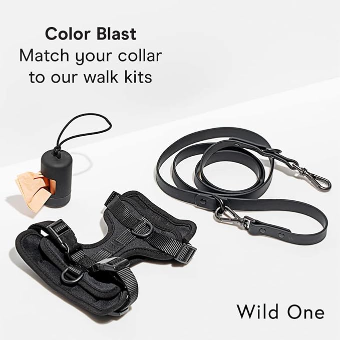 Wild One Dog Collar, The Original Easy-Clean, All Weather Flex-Poly Strap with Metal, Durable, Dirt and Odor Resistant, Size XS, Black